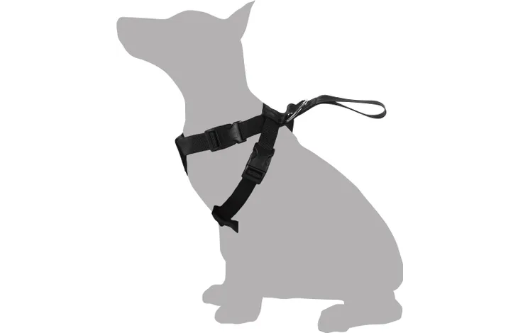 Bilsele för hundar, justerbar i flera storlekar för säker och bekväm transport under bilresor.