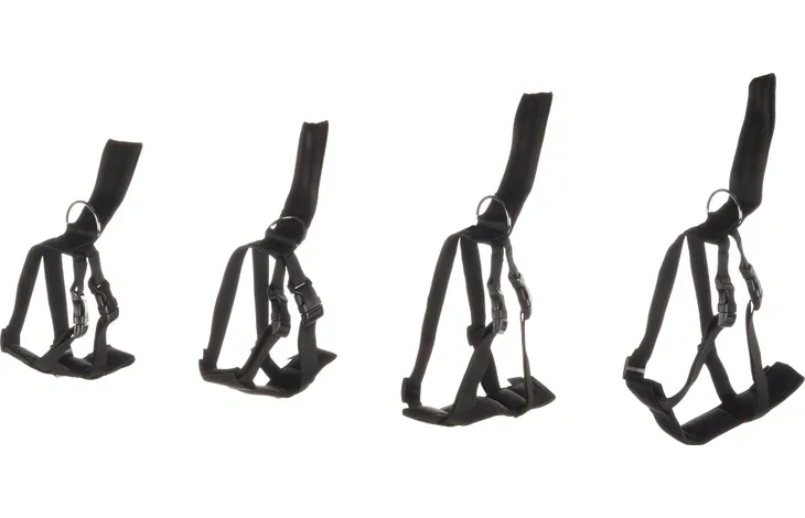 Ställbar bilsele för hundar i olika storlekar, från Small till X-Large, för säker och bekväm bilresa.