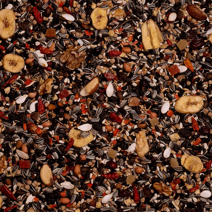 20 - Serengeti Papegojblandning