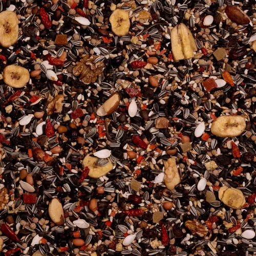 20 - Serengeti Papegojblandning