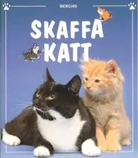 Skaffa Katt