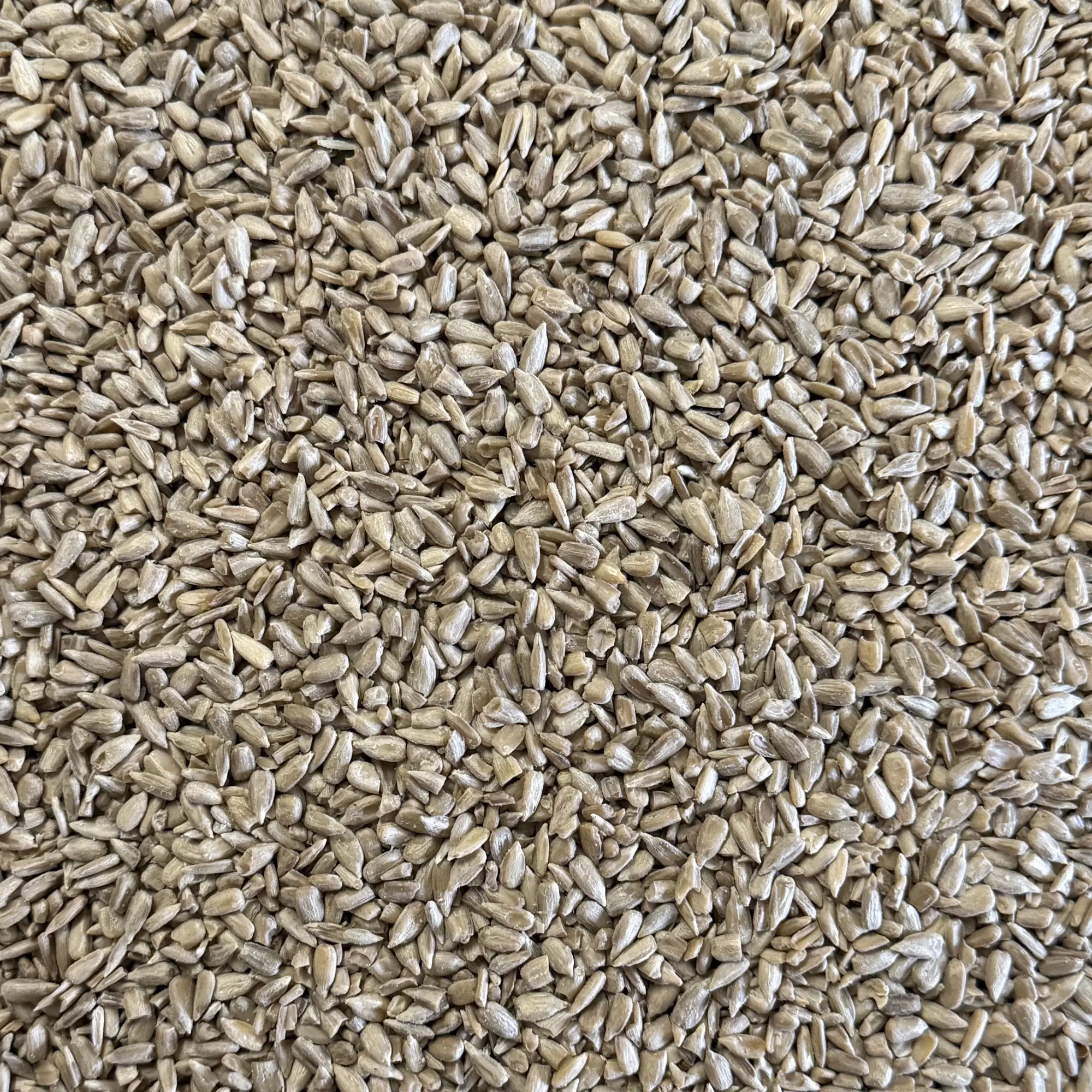 Skalade solroskärnor 1 kg