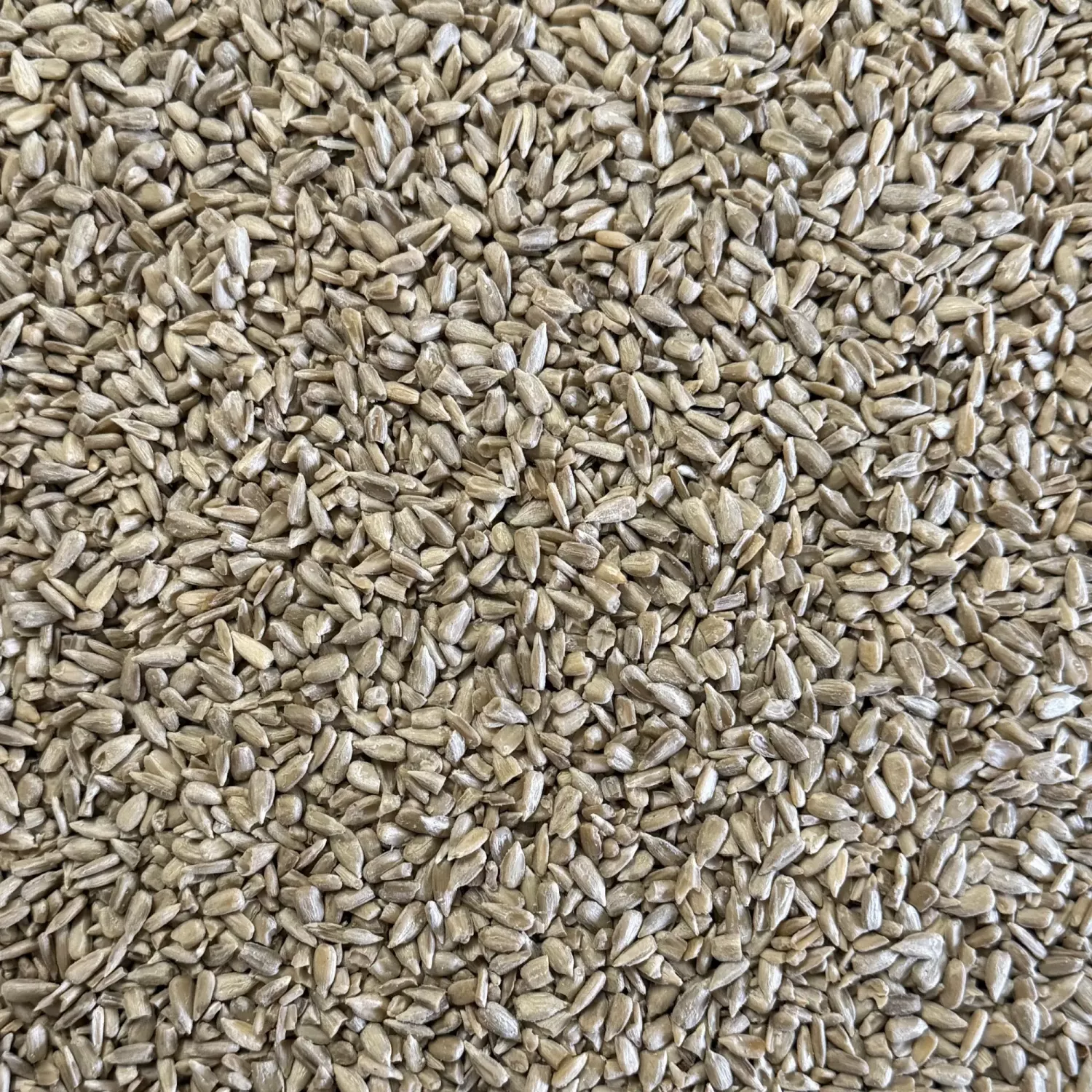 Skalade solroskärnor 1 kg