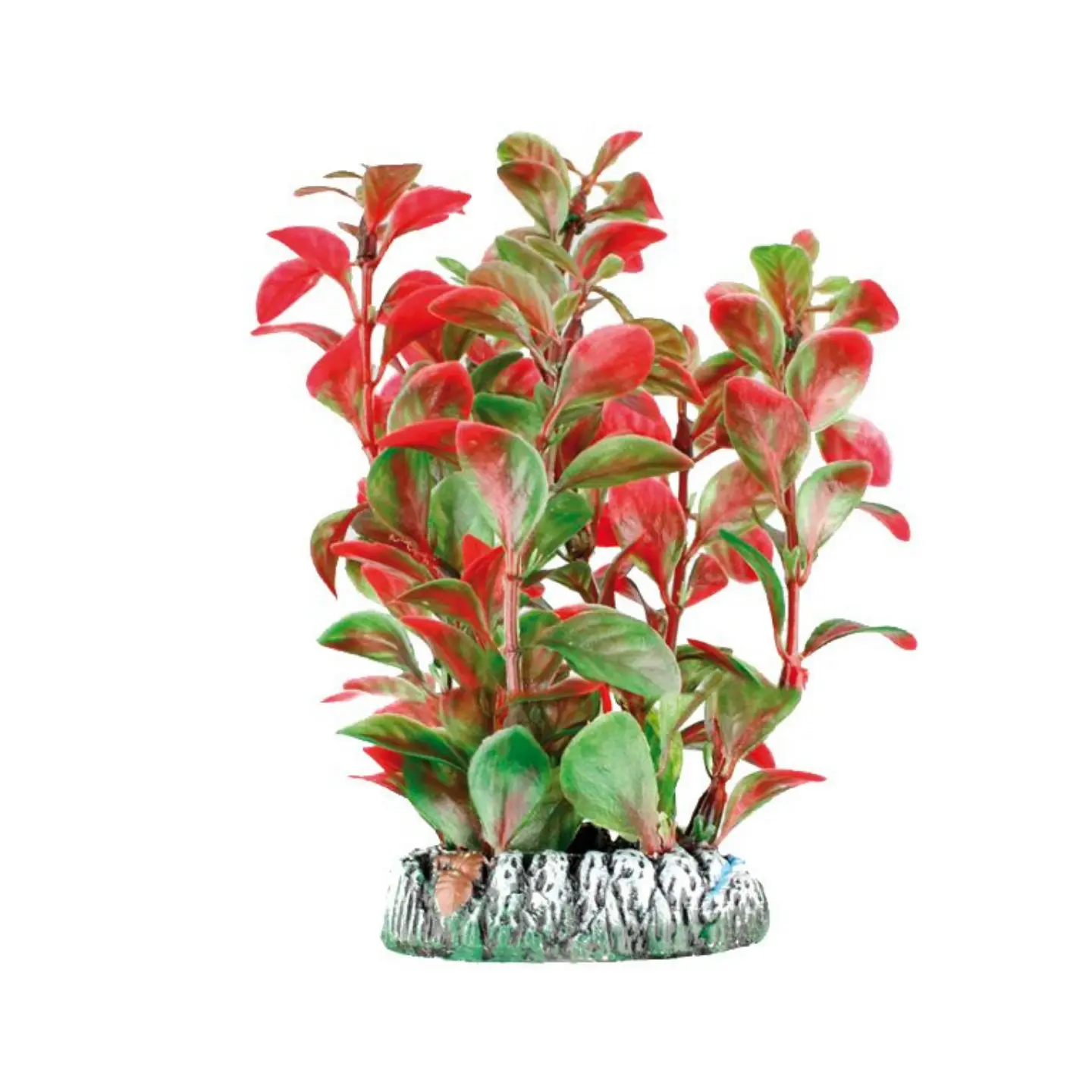 Dekoration växt Guyana no. 3