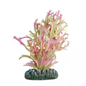 Dekoration växt Guyana no. 5