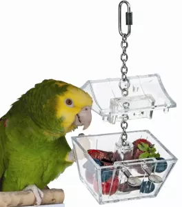 Parrot´s Treasure