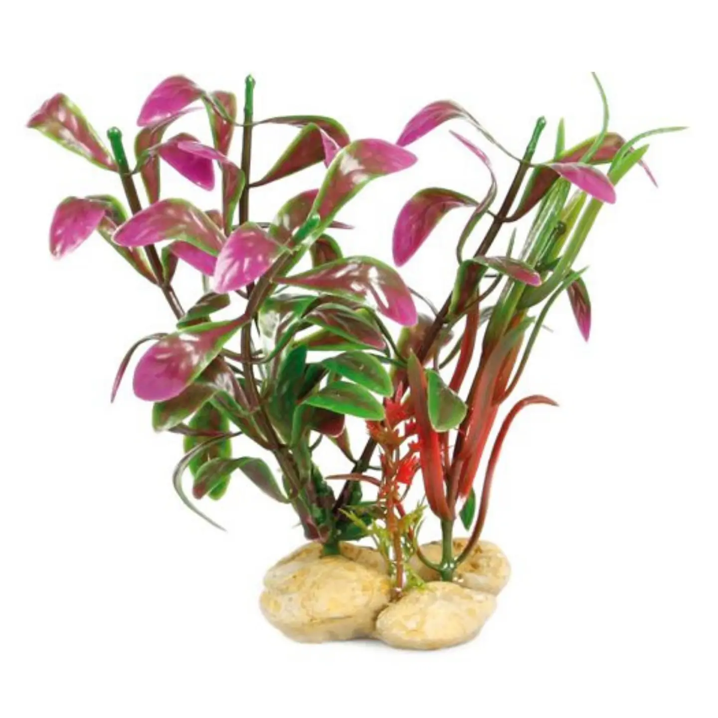 Dekoration växt Stone no. 2