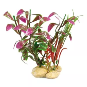 Dekoration växt Stone no. 2