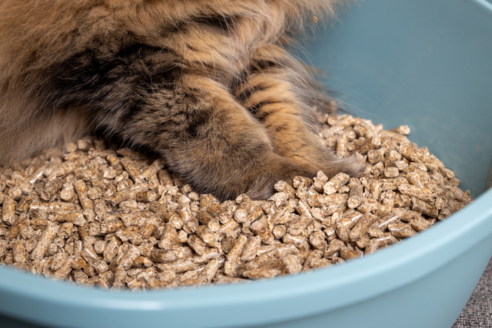Träpellets – naturligt strö till katt, smådjur och fåglar