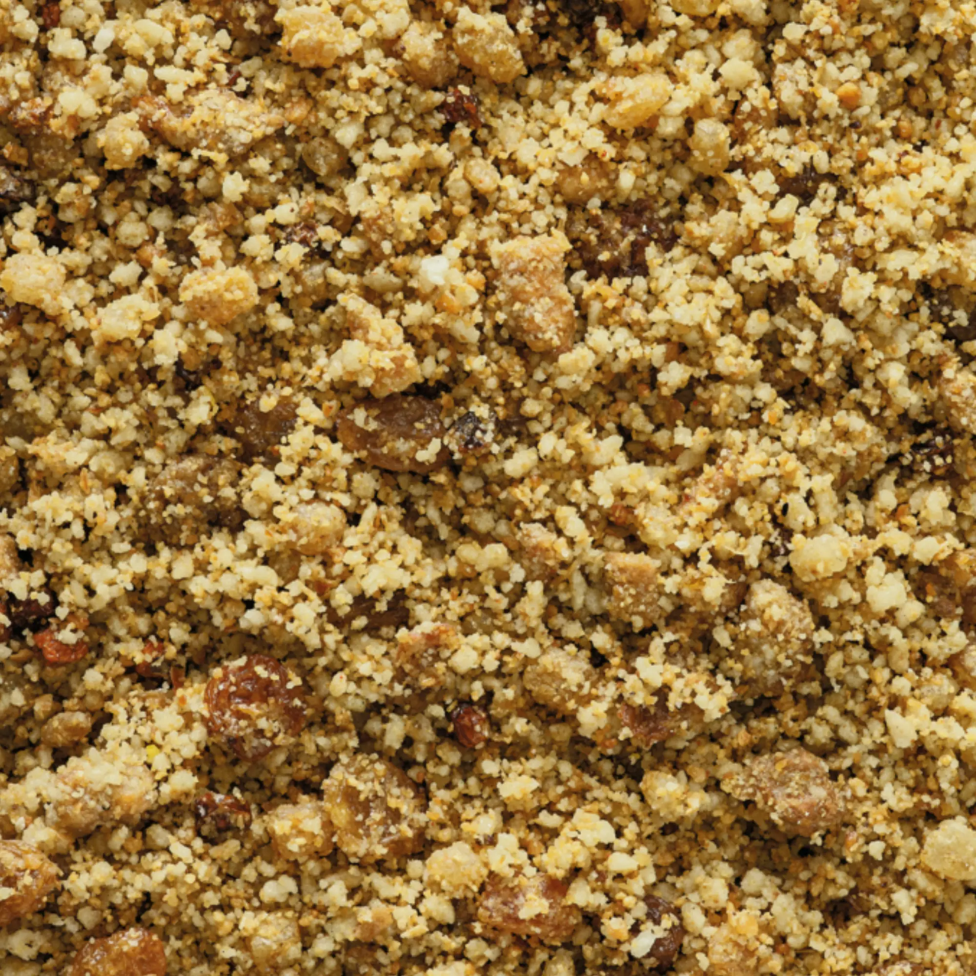 Orlux Tropical Fruit Patee