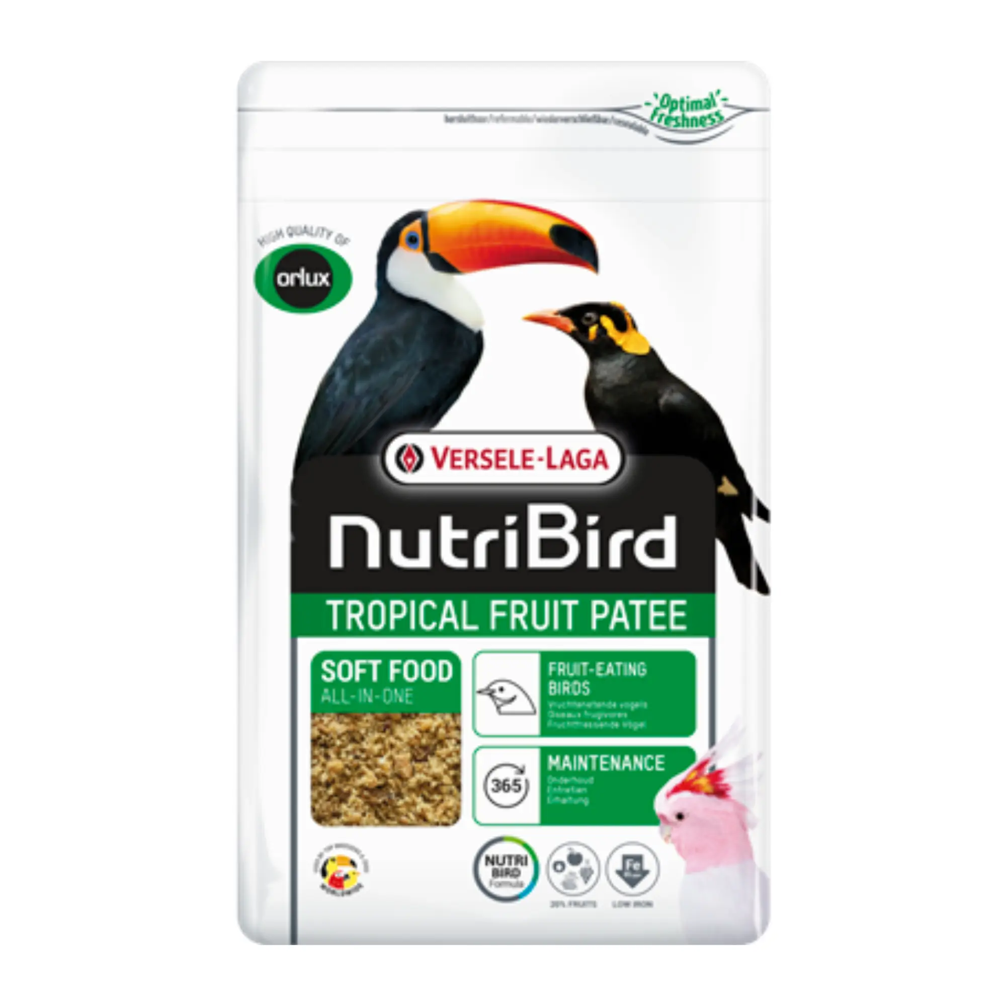 Orlux Tropical Fruit Patee