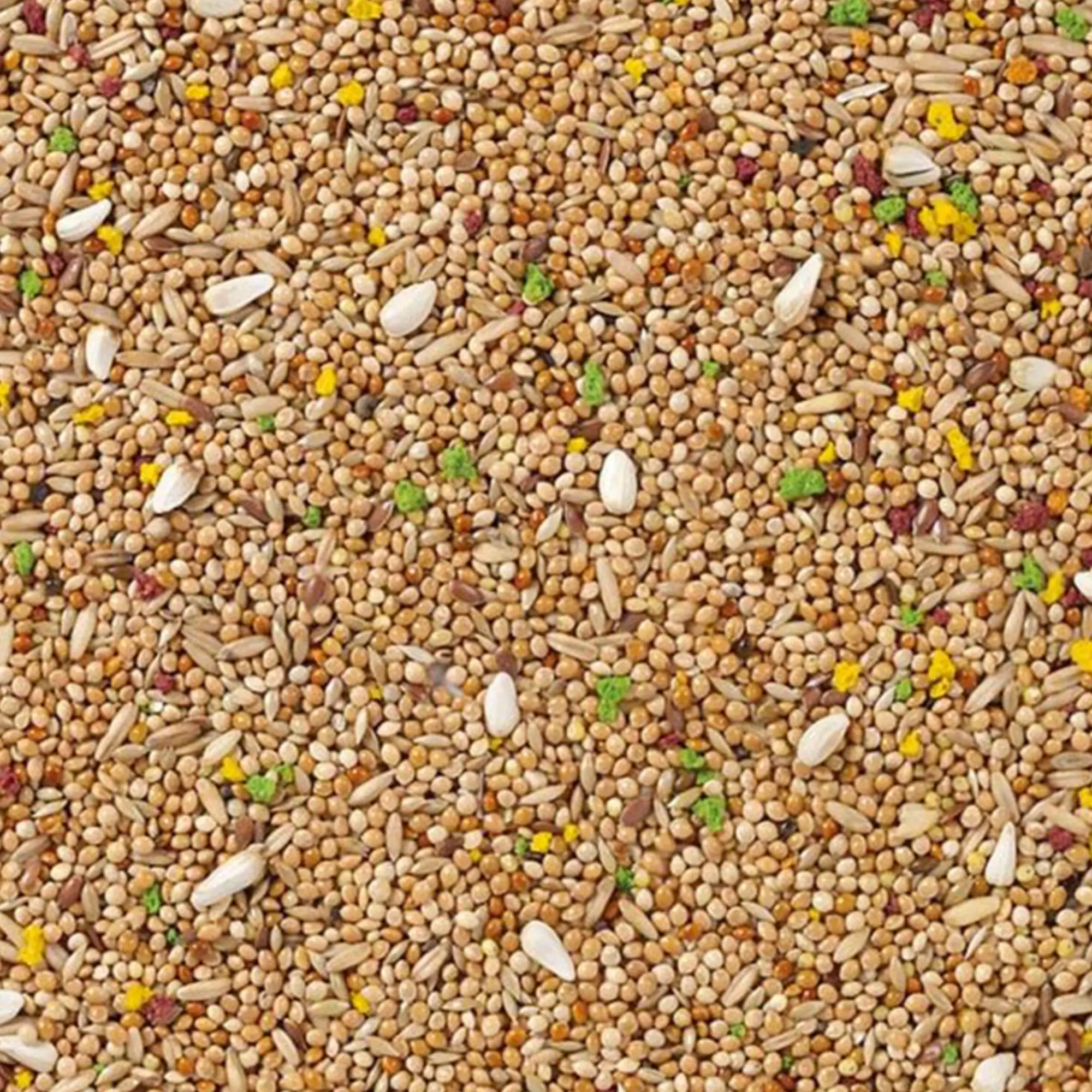 11 - Undulat Colormix