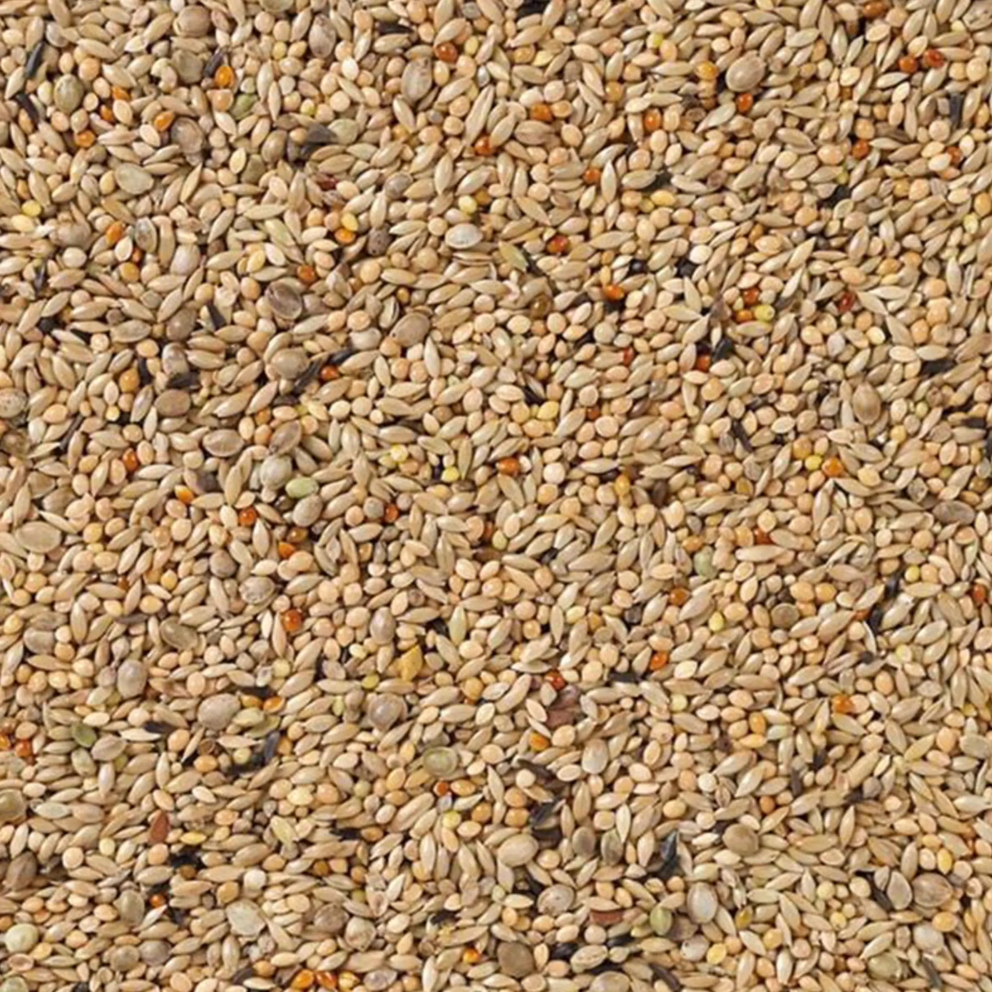 66 - Undulatblandning Super