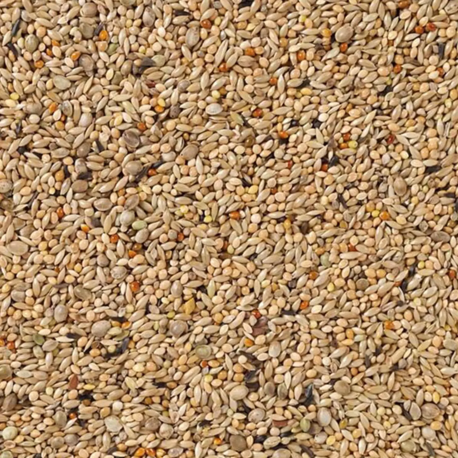 66 - Undulatblandning Super