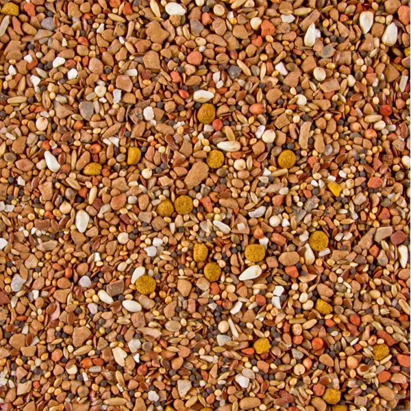 Urtica Chlorella Mineral Mix