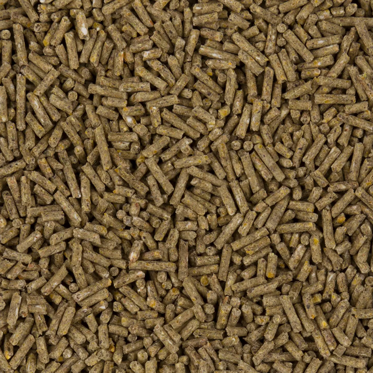 Elite Marsvinspellets 20 kg