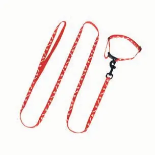 Koppel och halsband till valp