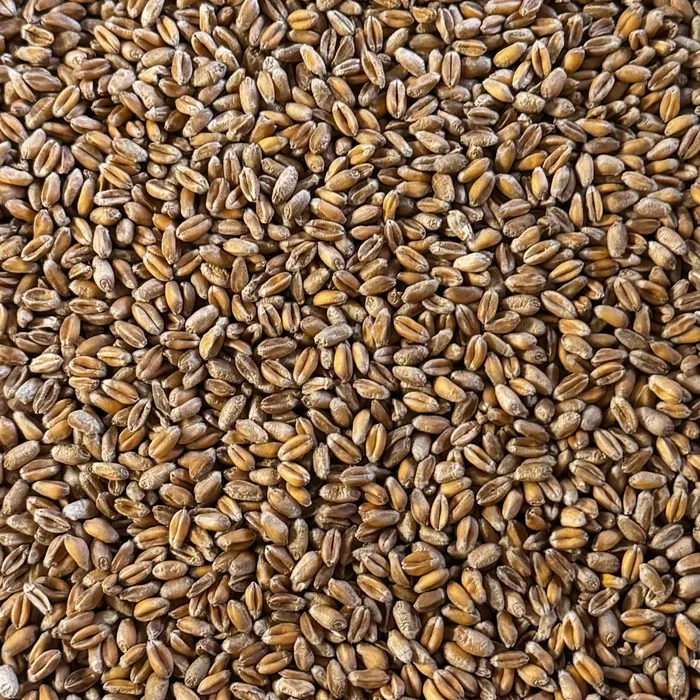 Extra fin vete för fåglar, perfekt för groddblandning och utfodring.