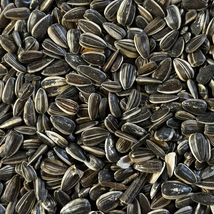 Solrosfrö XXL 600 g