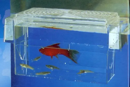 Yngelbox